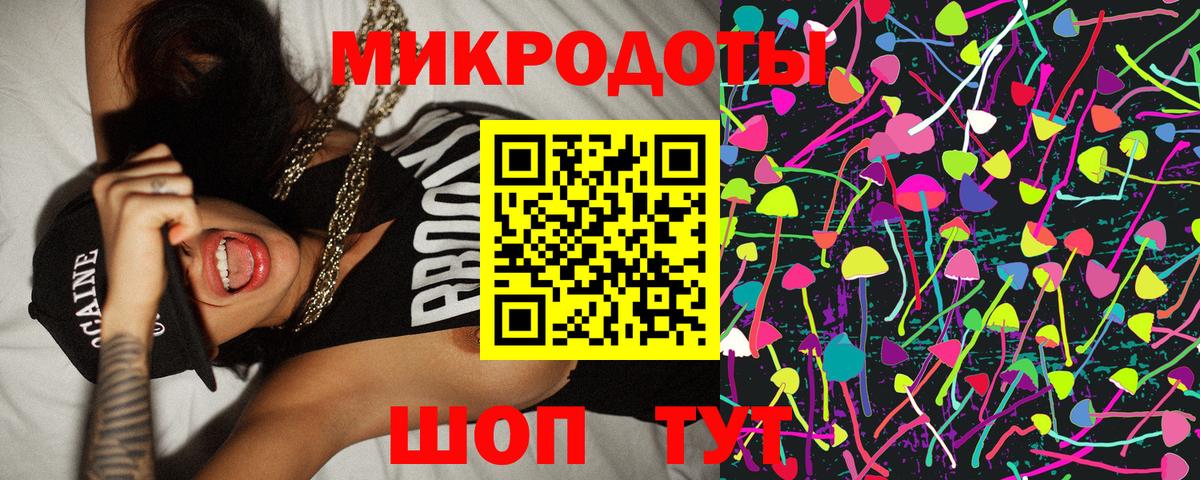 Галлюциногенные грибы Psilocybine cubensis Татарск